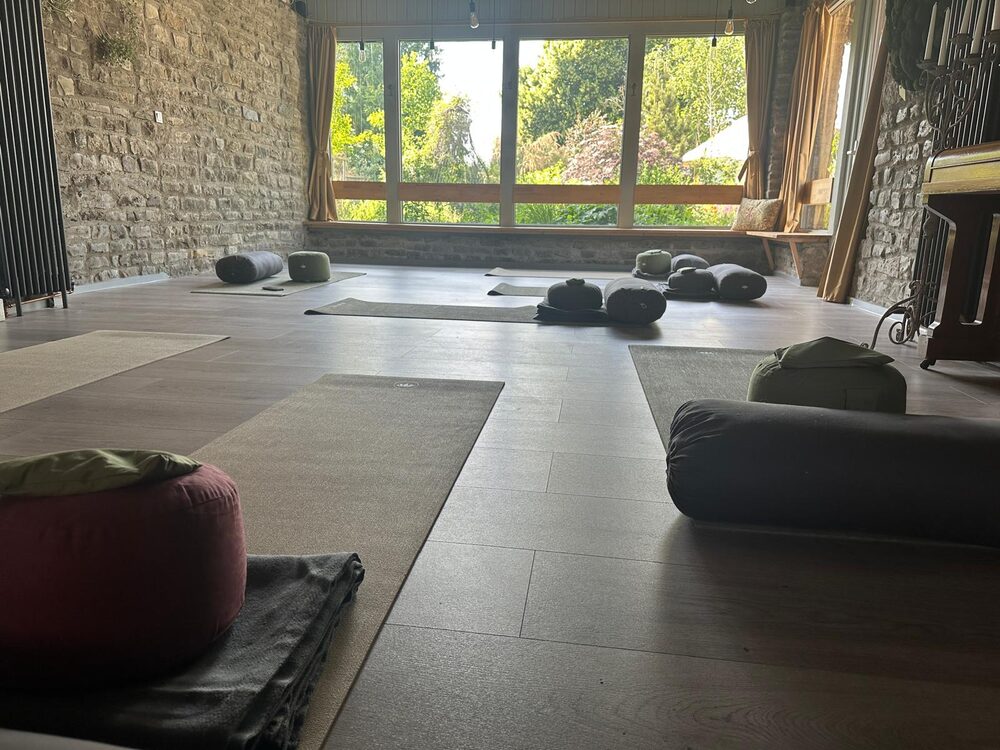 Somatic Yoga & Nervensystem