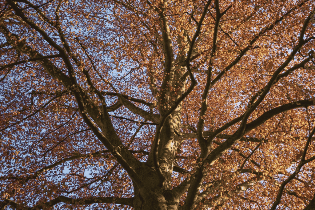 Retreat Herbst Erfurt