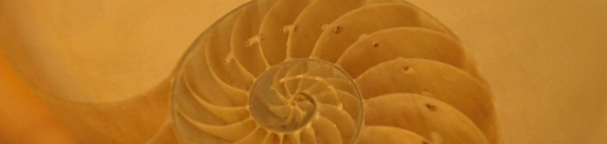 a-r-jWiMhLWQRUk-unsplash